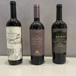 Comprar Vinhos Direto Da Argentina Para Revender